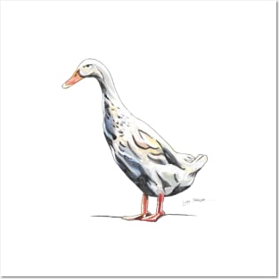 White Duck Posters and Art